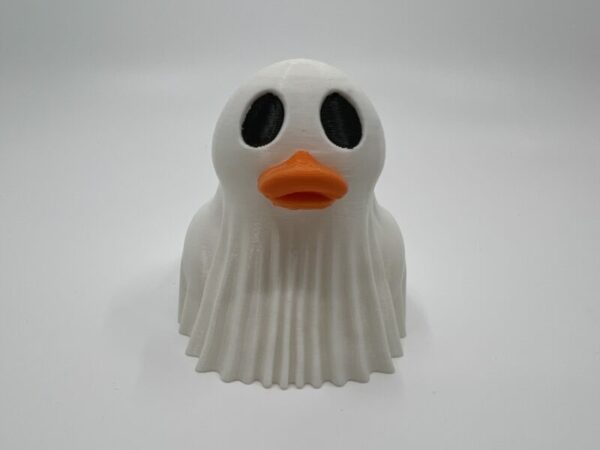 Ghost Duck - Image 2